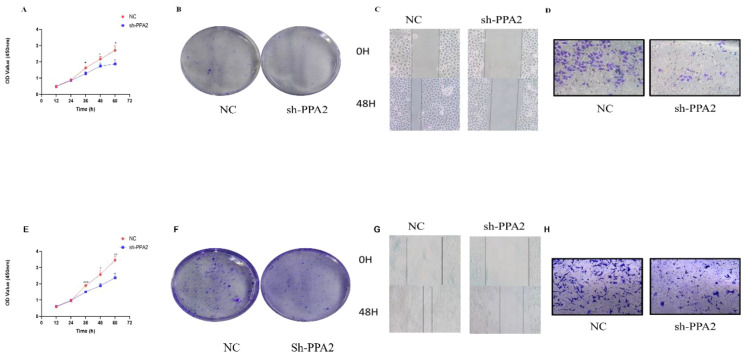 Figure 10