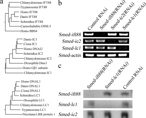 Figure 4.