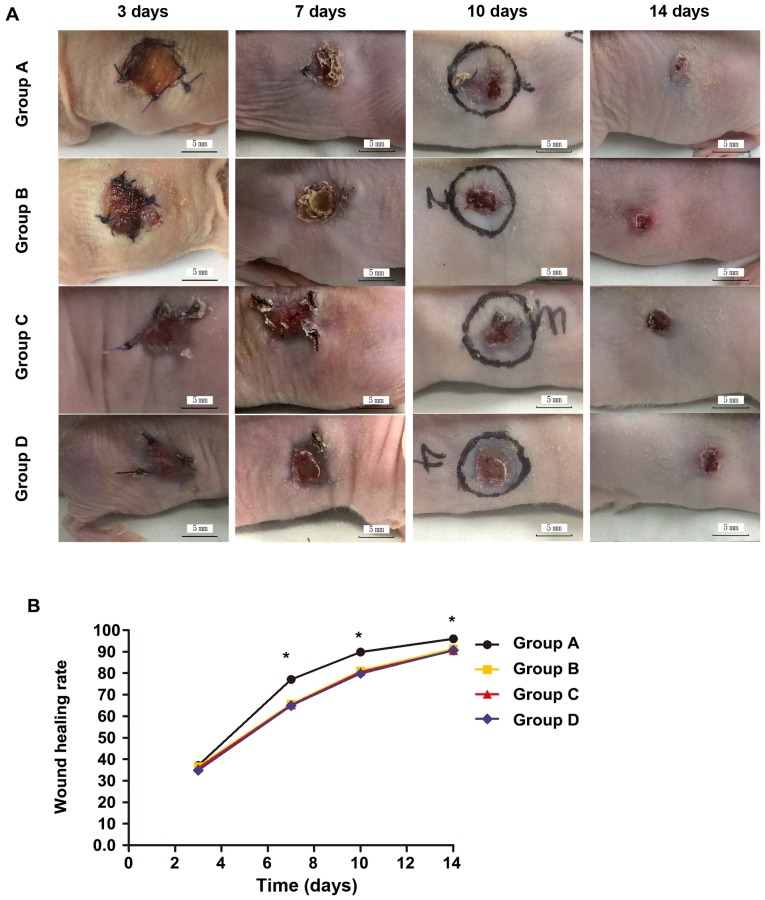 Figure 4.