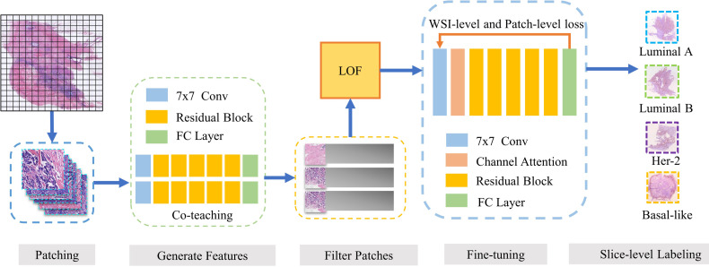 Figure 1