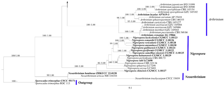 Figure 1