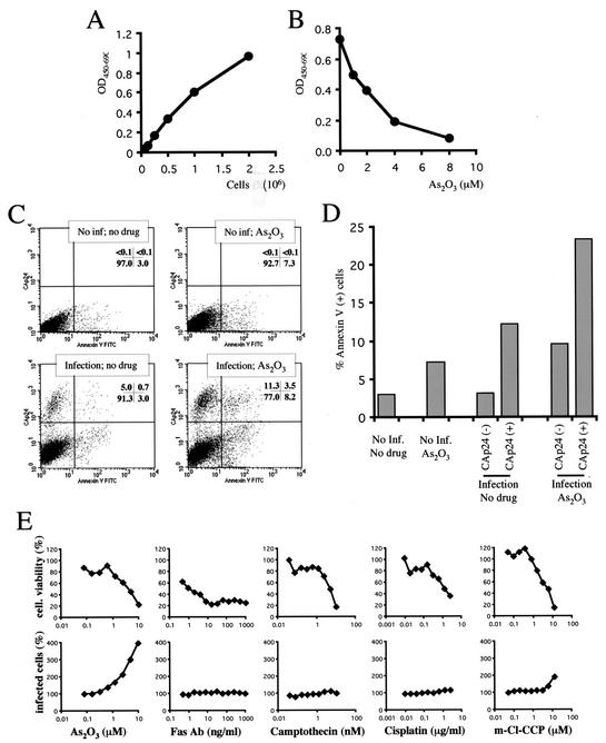 FIG. 7.