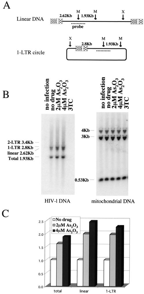 FIG. 3.