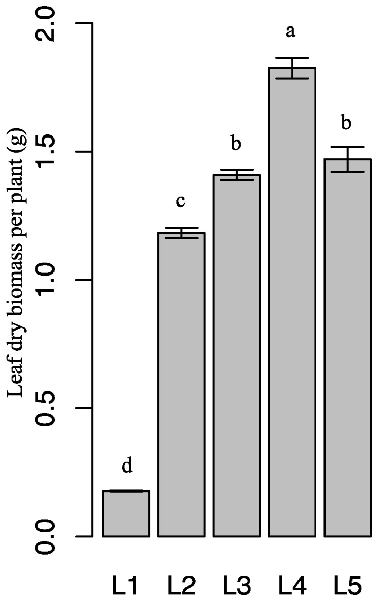 Figure 5