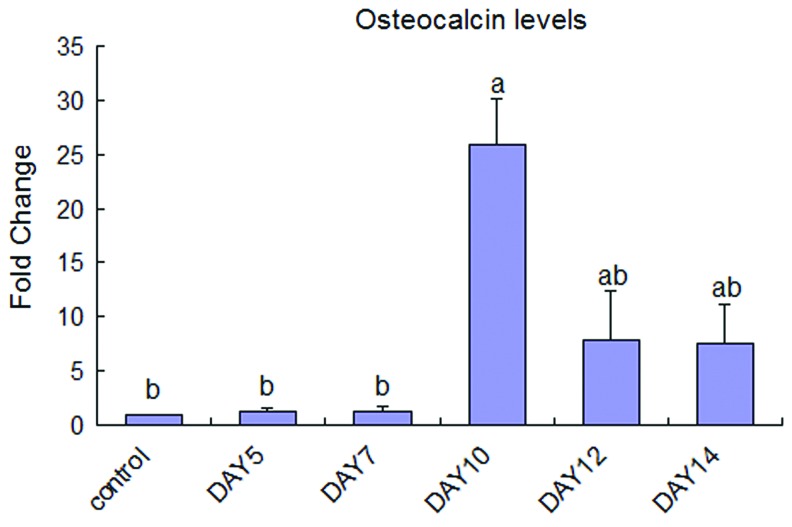 FIG. 1.