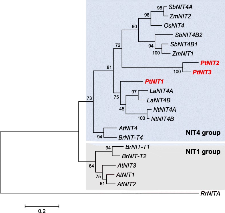 Fig. 4