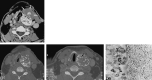 <sc>fig</sc> 1.