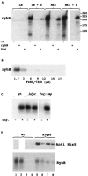 FIG. 1.