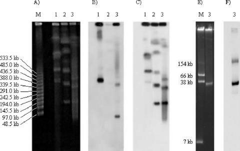 FIG. 2.