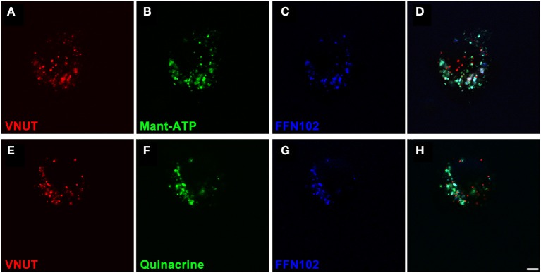 Figure 5