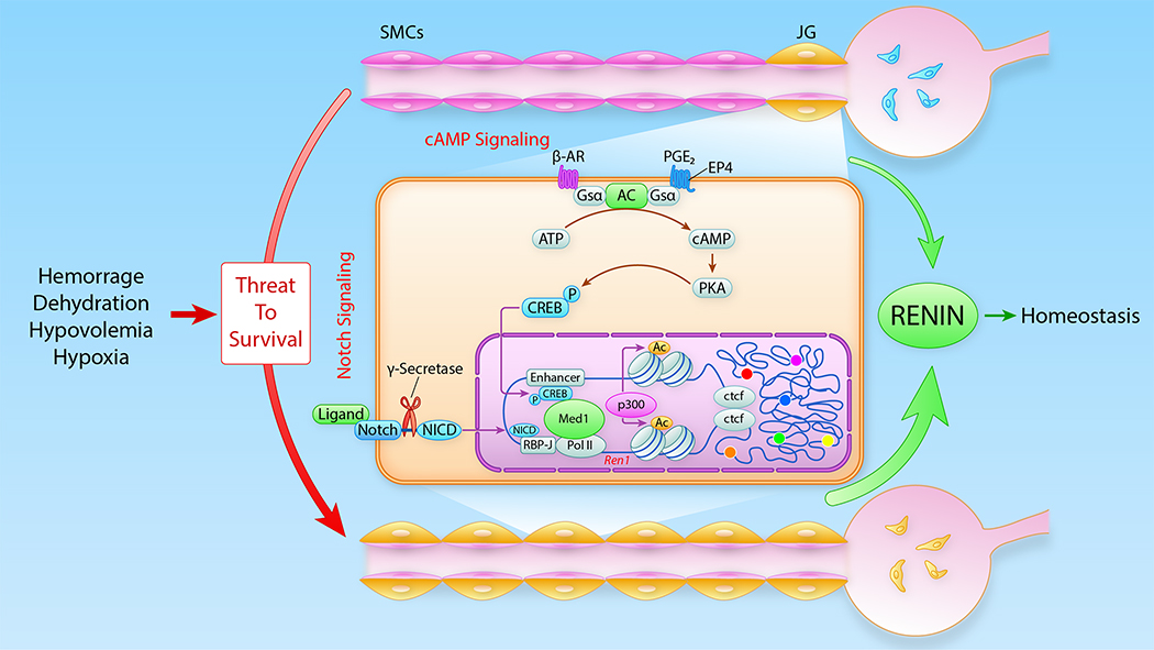 Figure 6: