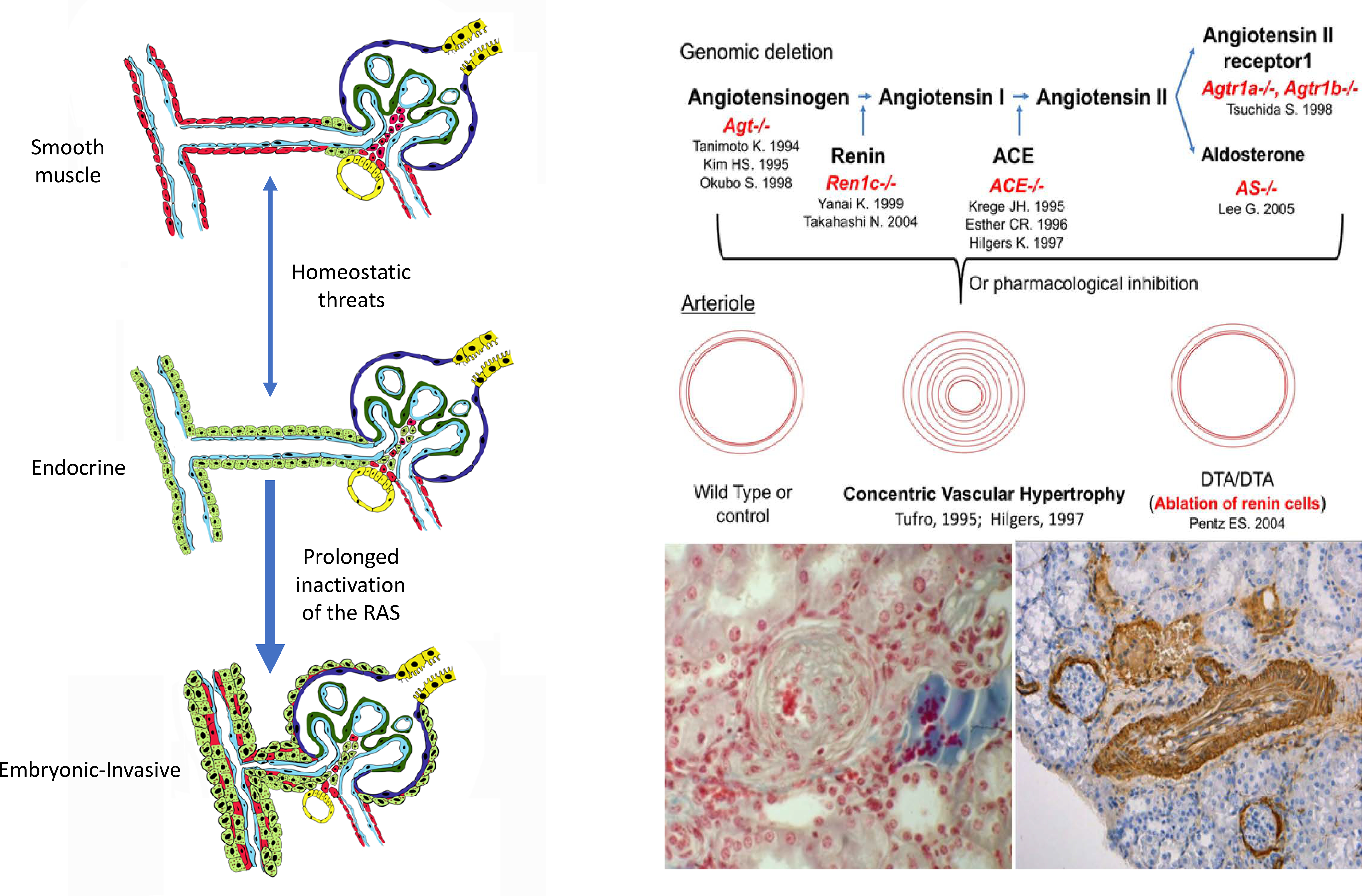 Figure 7: