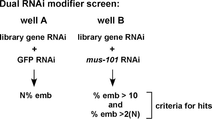 Figure 5.—