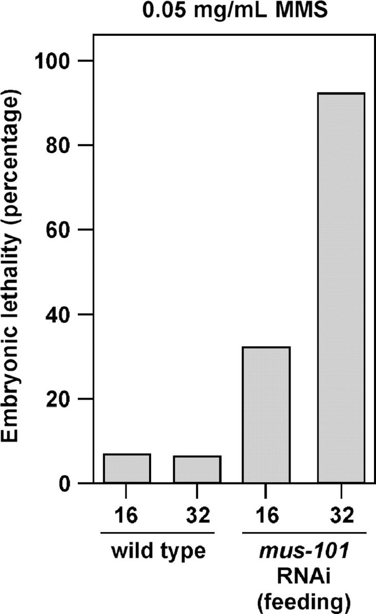 Figure 4.—