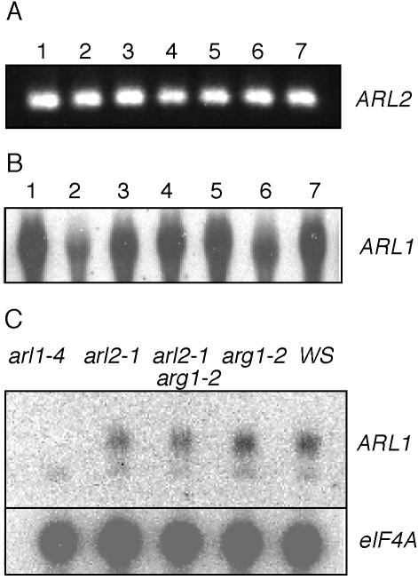 Figure 7.