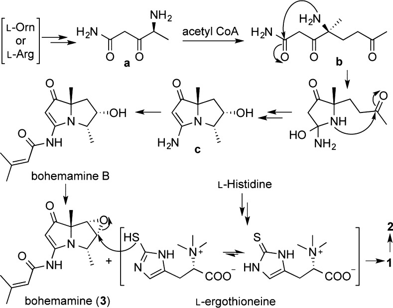 Scheme 2