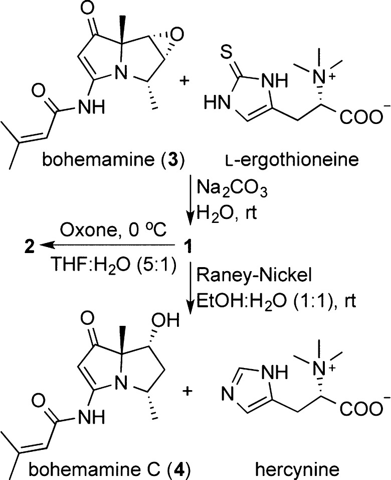 Scheme 1