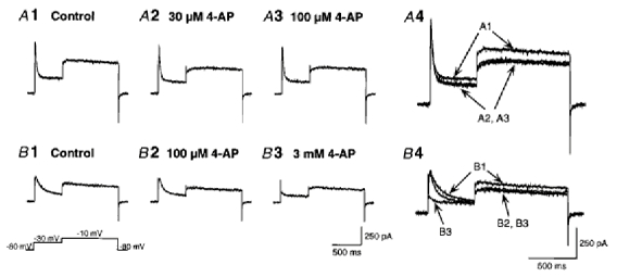 Figure 8