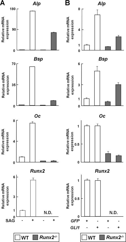 FIGURE 4.