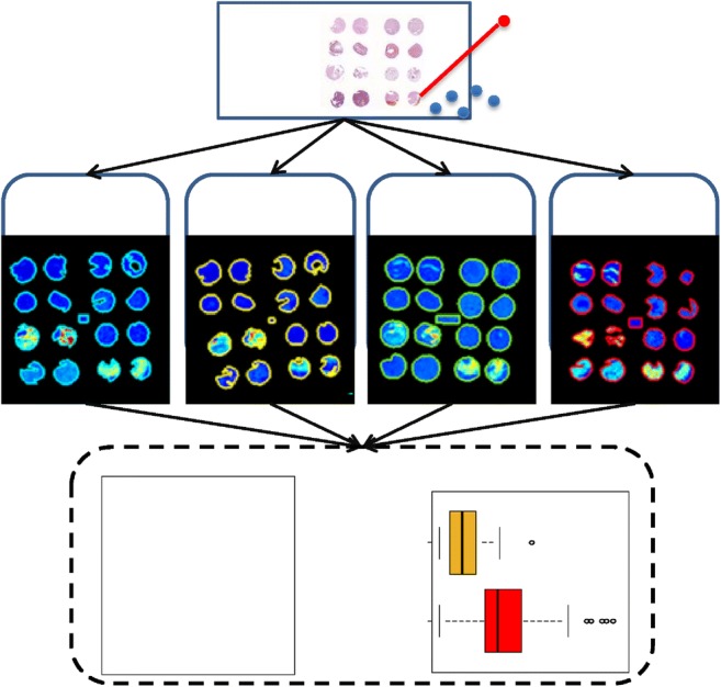 Graphical abstract