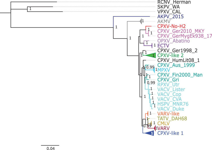 FIGURE 3