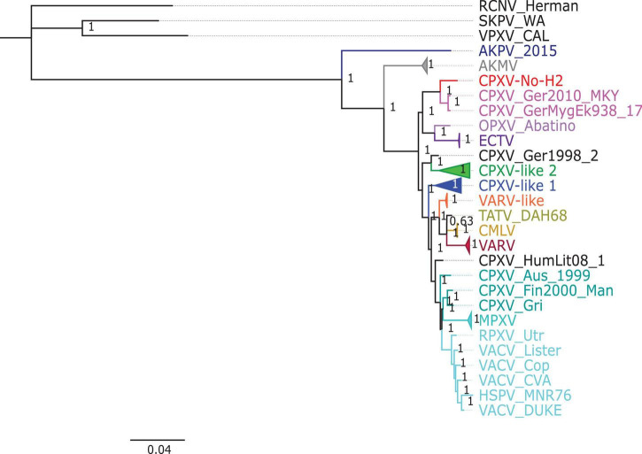 FIGURE 2