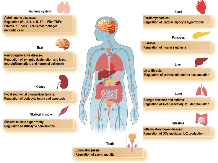 Supplementary Figure 1