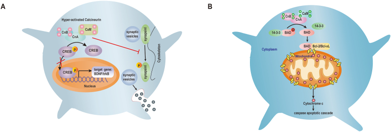 Figure 4