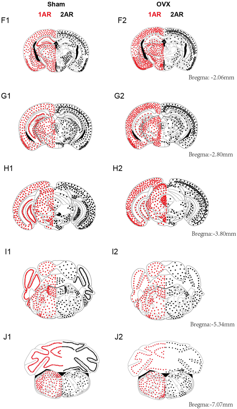 Fig. 8