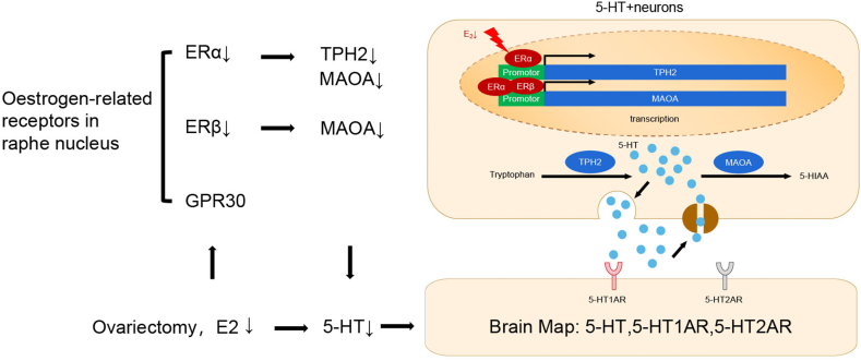 Fig. 17