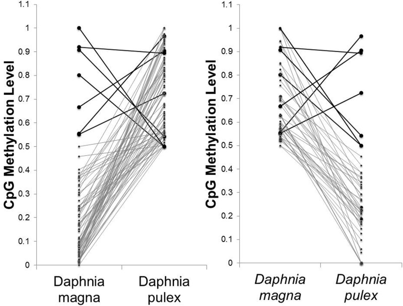 Fig. 3.—