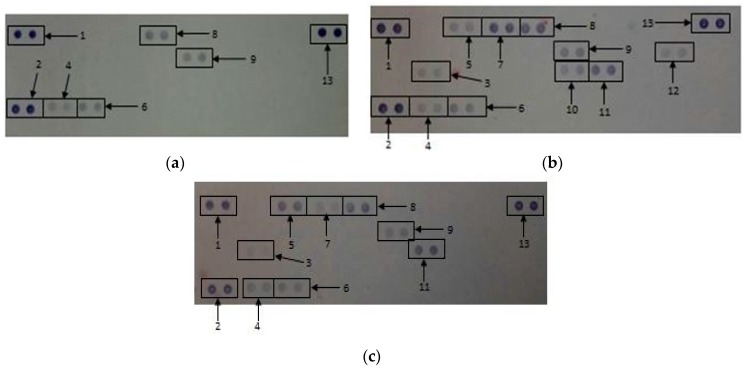 Figure 7