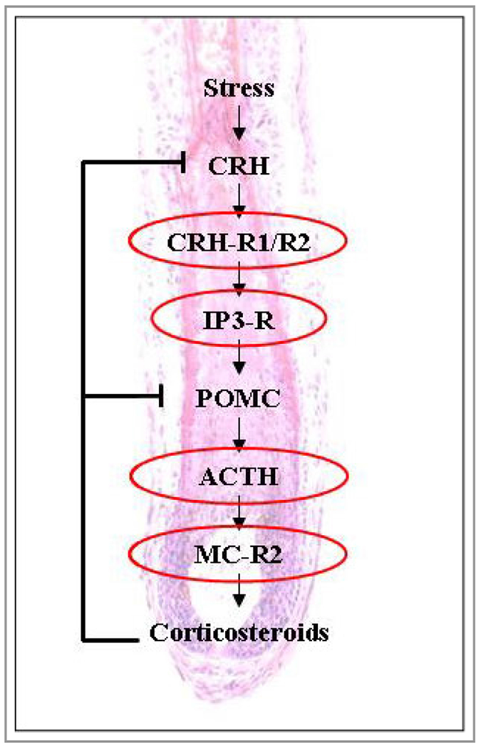 Figure 9