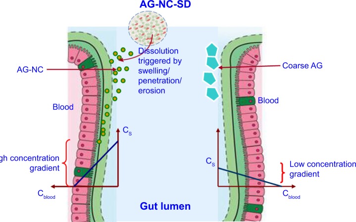 Figure 10