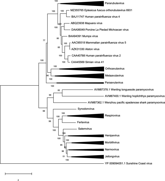 FIG 1