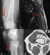 Fig. 1