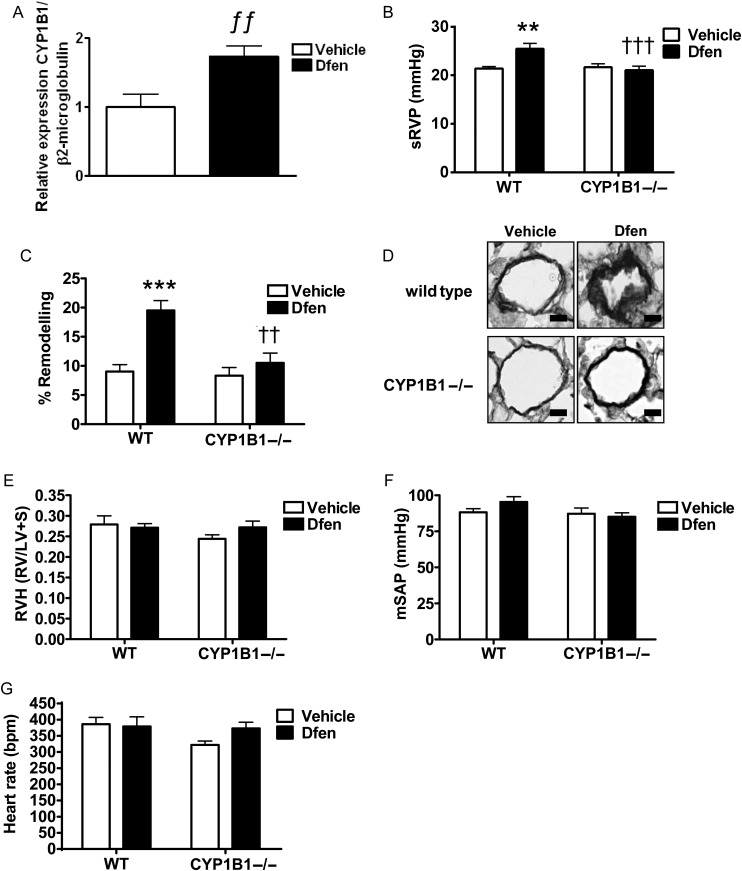 Figure 2.