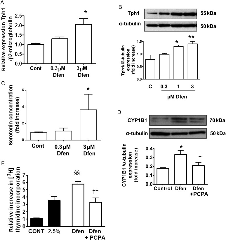 Figure 4.