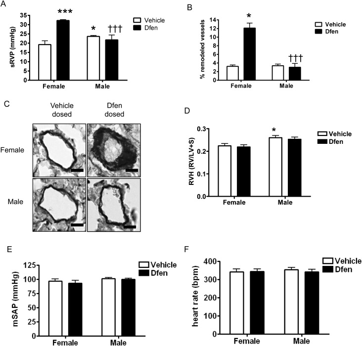 Figure 1.