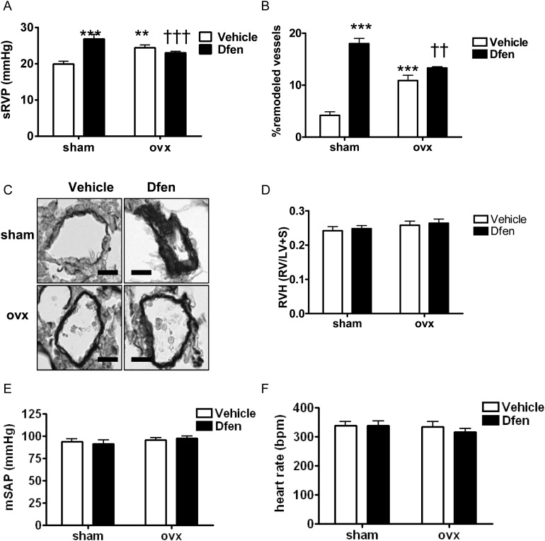 Figure 6.