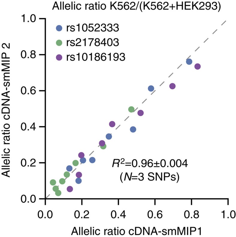 Figure 5