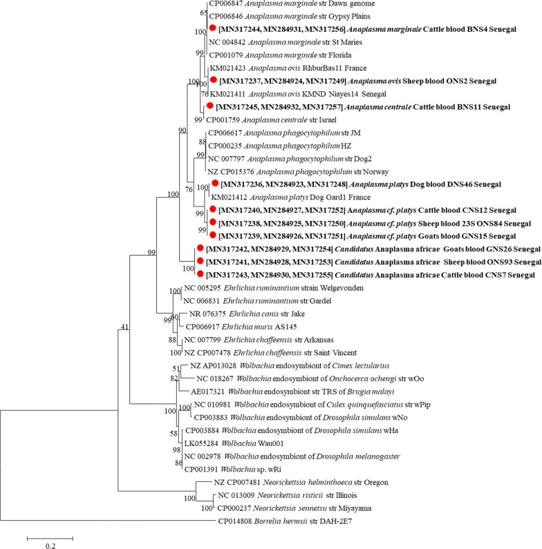 Fig. 3