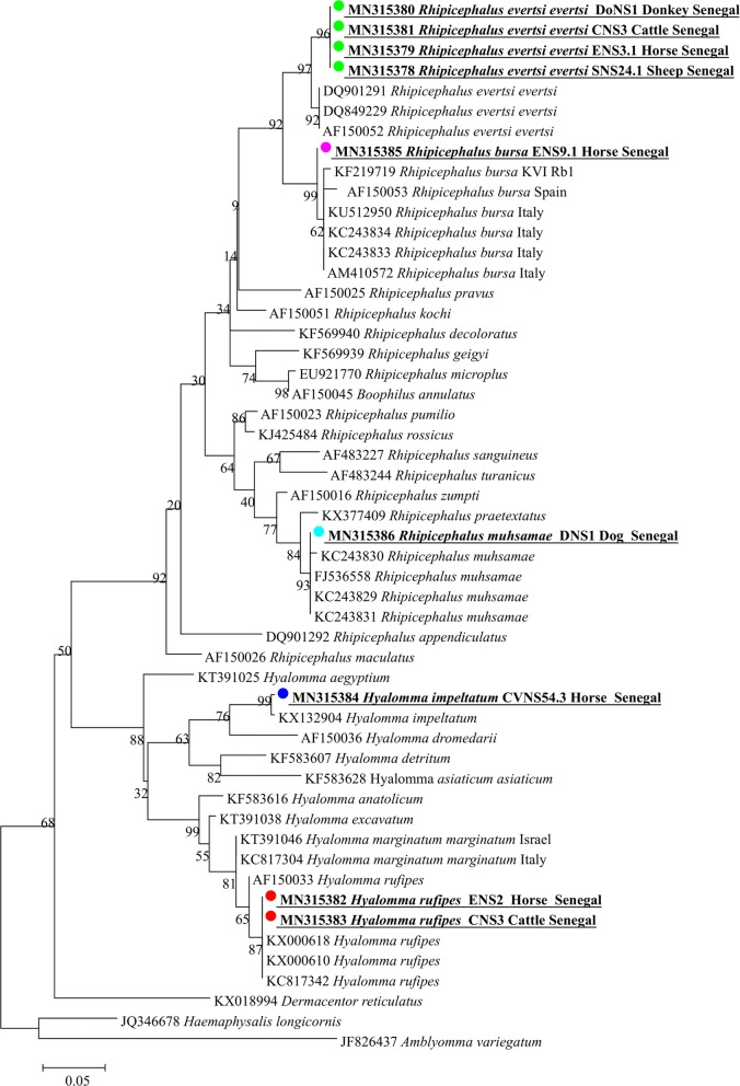 Fig. 2