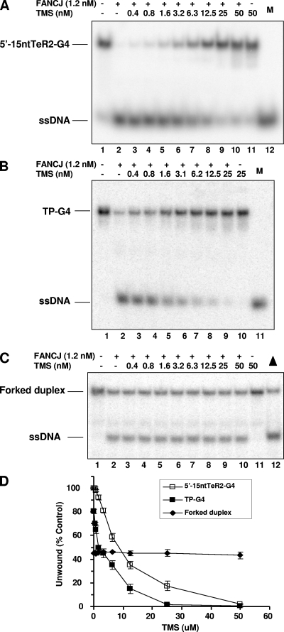 FIG. 7.