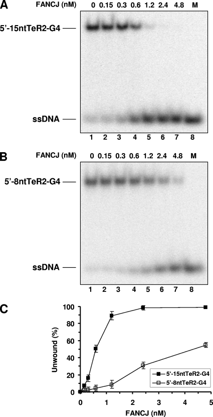 FIG. 5.