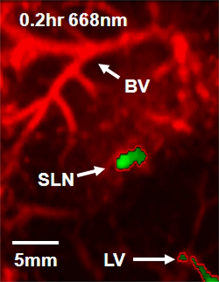 Figure 5a: