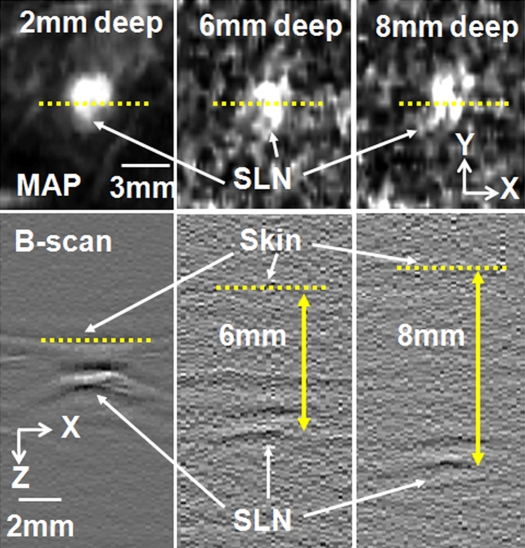 Figure 4a: