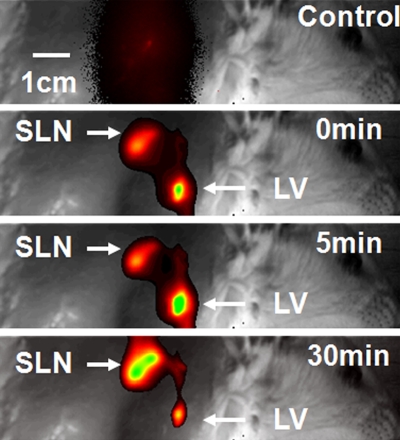 Figure 3a: