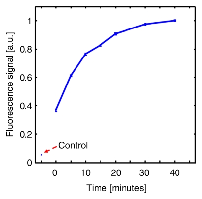 Figure 3b: