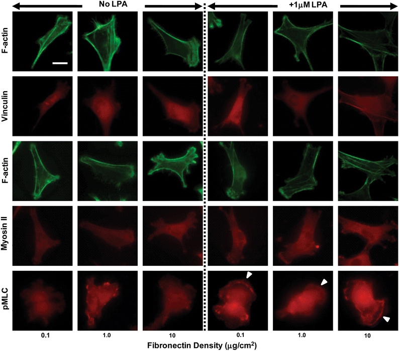 Figure 5